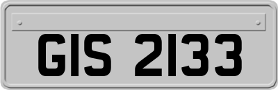 GIS2133