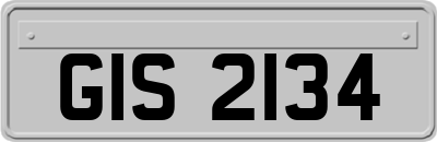 GIS2134