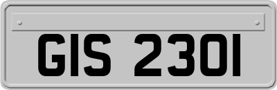 GIS2301