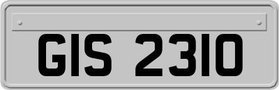 GIS2310