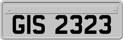 GIS2323