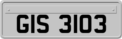 GIS3103