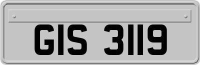 GIS3119