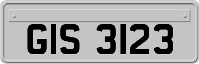 GIS3123