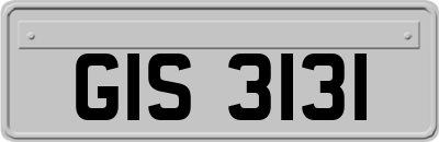 GIS3131