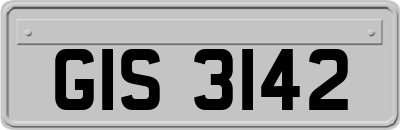 GIS3142