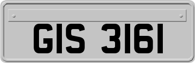 GIS3161