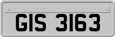 GIS3163