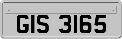GIS3165