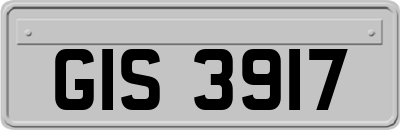 GIS3917