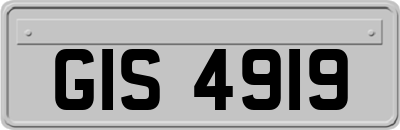 GIS4919