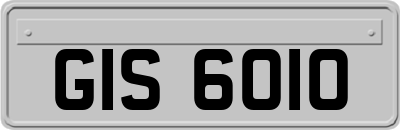 GIS6010
