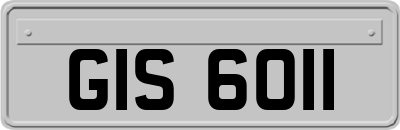 GIS6011