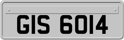 GIS6014