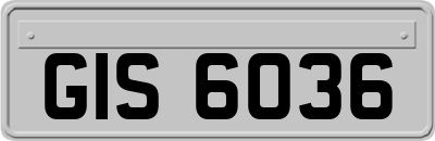 GIS6036