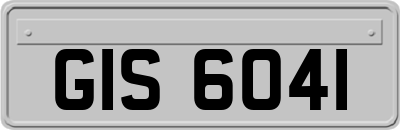 GIS6041