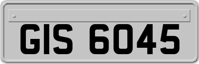 GIS6045