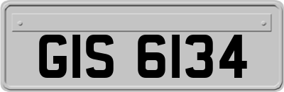 GIS6134
