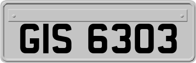 GIS6303