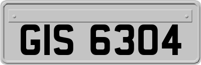 GIS6304
