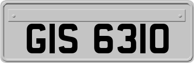GIS6310