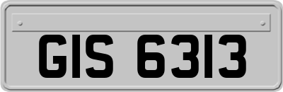 GIS6313