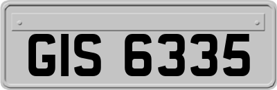GIS6335
