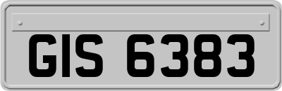 GIS6383