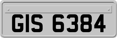 GIS6384