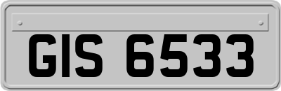 GIS6533