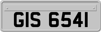GIS6541