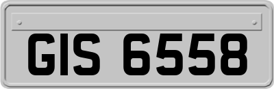 GIS6558