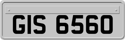 GIS6560