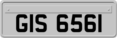 GIS6561