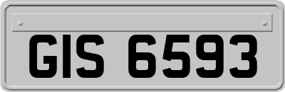 GIS6593