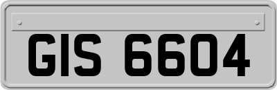GIS6604