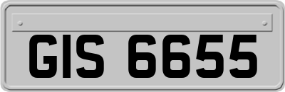 GIS6655