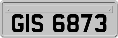 GIS6873