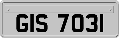 GIS7031