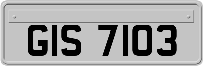 GIS7103