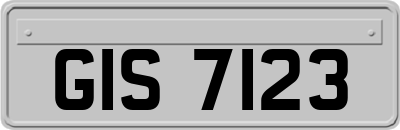 GIS7123