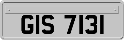 GIS7131