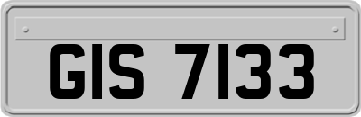 GIS7133
