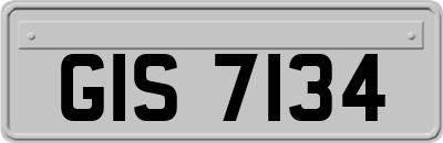 GIS7134