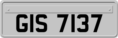GIS7137