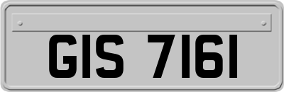 GIS7161