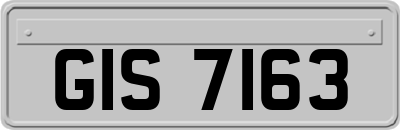 GIS7163