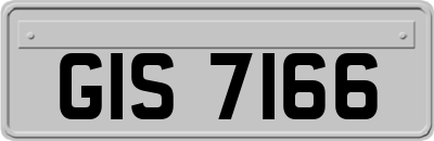 GIS7166