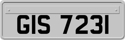 GIS7231