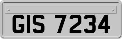 GIS7234